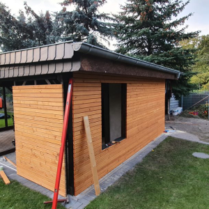 PHOTO-2026-02-17-10-01-15 (15)