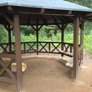 PHOTO-2026-02-17-10-50-20 (32)