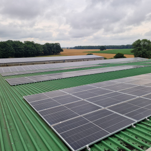 PHOTO-2026-02-17-10-39-17 (20)