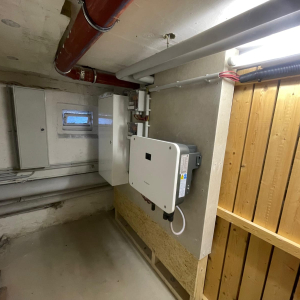 PHOTO-2026-02-17-10-50-11 (2)