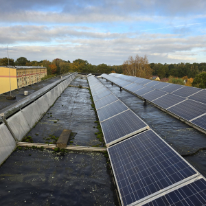 PHOTO-2026-02-17-10-50-15 (14)