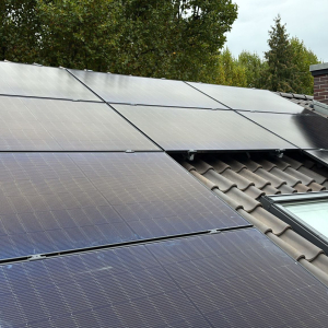 PHOTO-2026-02-17-10-50-15 (15)