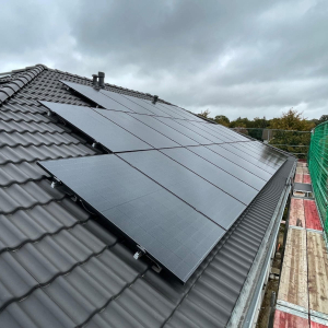 PHOTO-2026-02-17-10-50-18