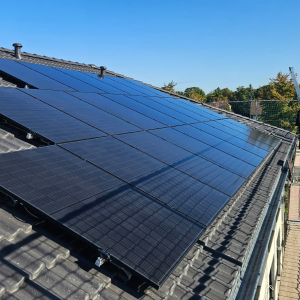 PHOTO-2026-02-17-10-50-19 (29)