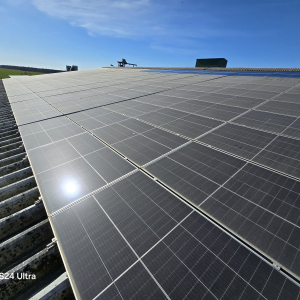 PHOTO-2026-02-17-10-39-21